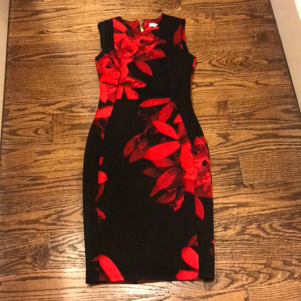 Red and black floral dress.  Calvin Klein